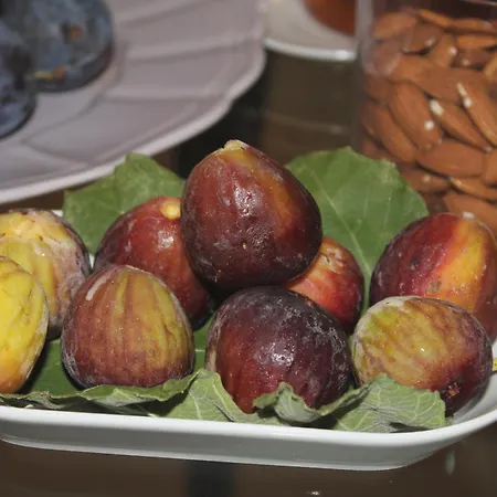 Il Bottone D'argento Gaeta